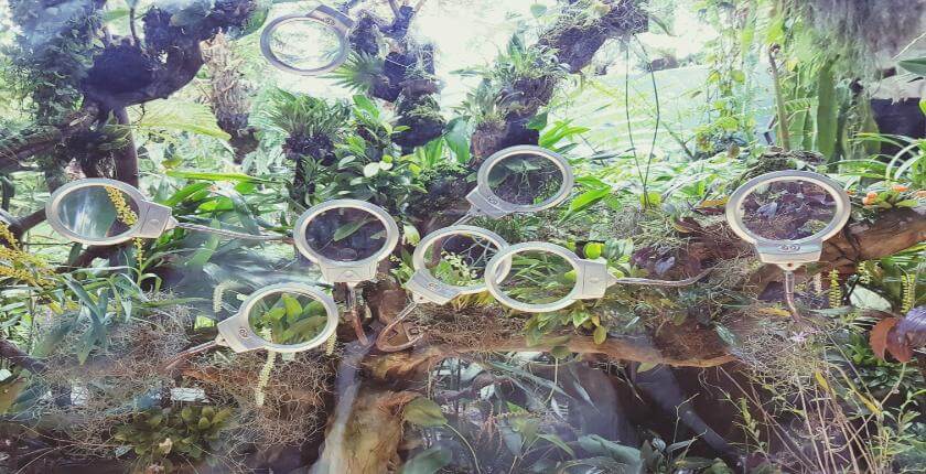 Biodiversity Offsetting